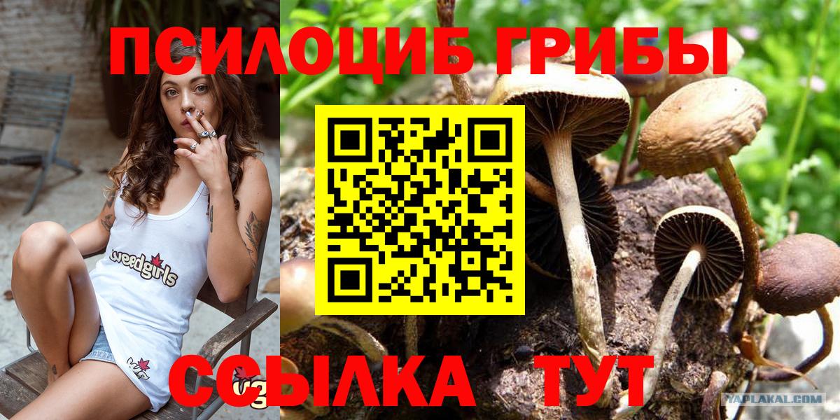 Галлюциногенные грибы MAGIC MUSHROOMS Ессентуки