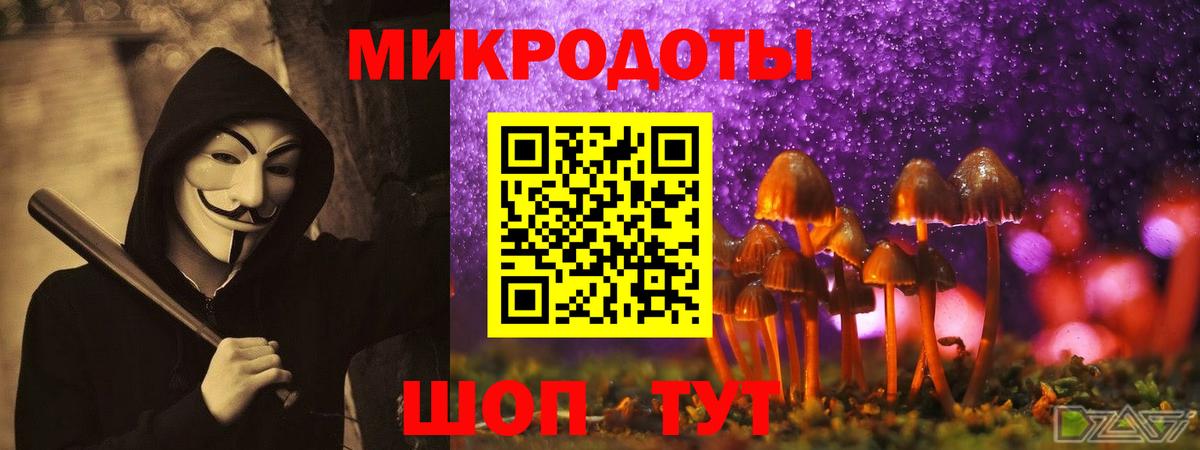 Галлюциногенные грибы прущие грибы  Галлюциногенные грибы прущие грибы  Вход с VPN  Ессентуки 